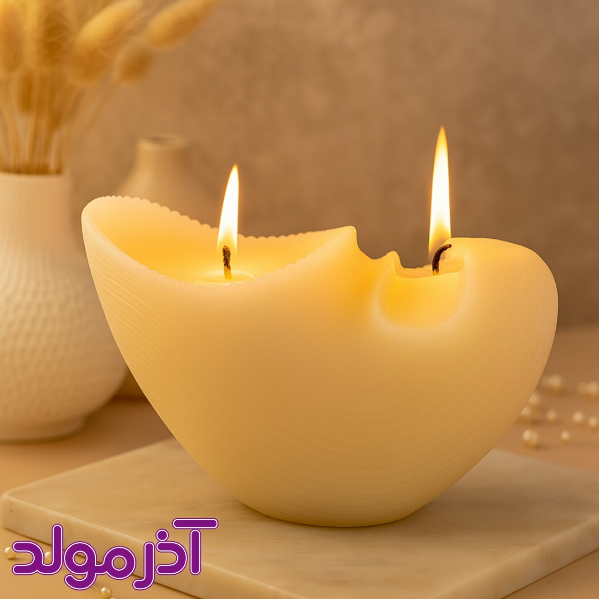 قالب سیلیکونی صدف حلزونی سایز بزرگ