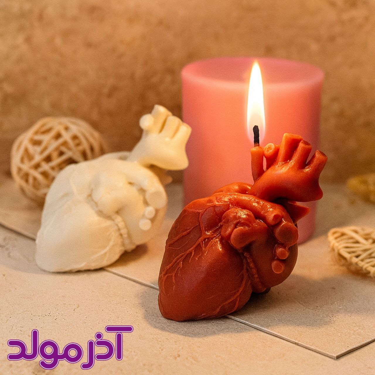 قالب سیلیکونی آناتومی قلب