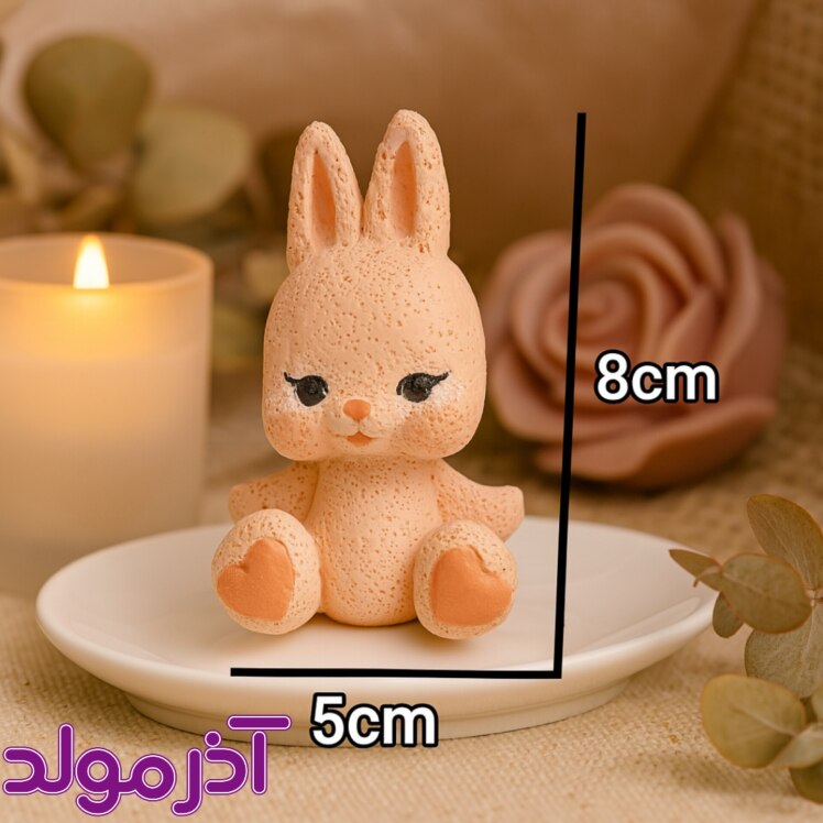 قالب سیلیکونی خرگوش