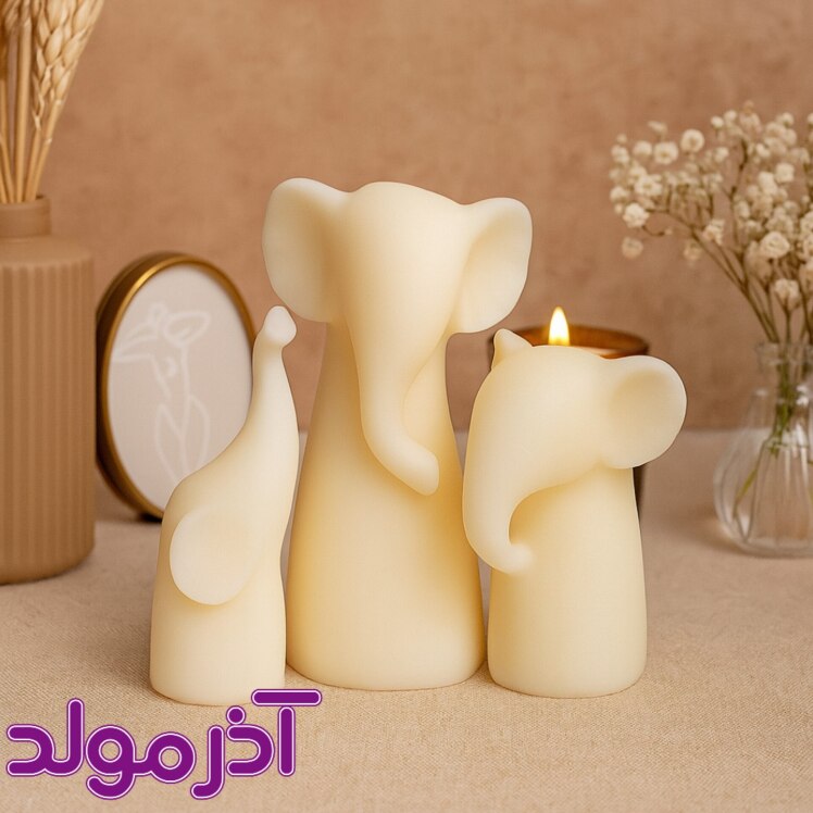 قالب سیلیکونی ست فیل