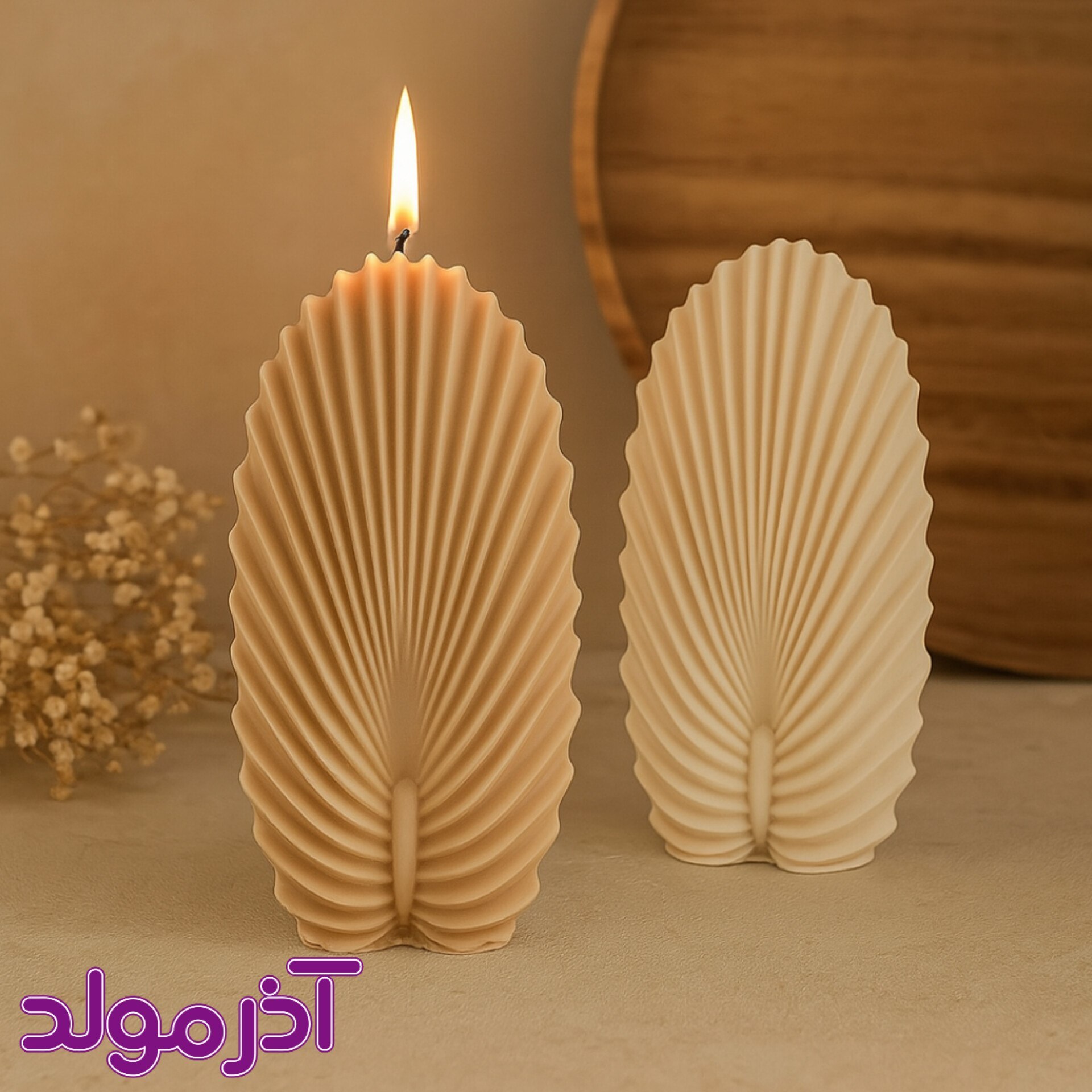  قالب سیلیکونی صدف طاووسی 