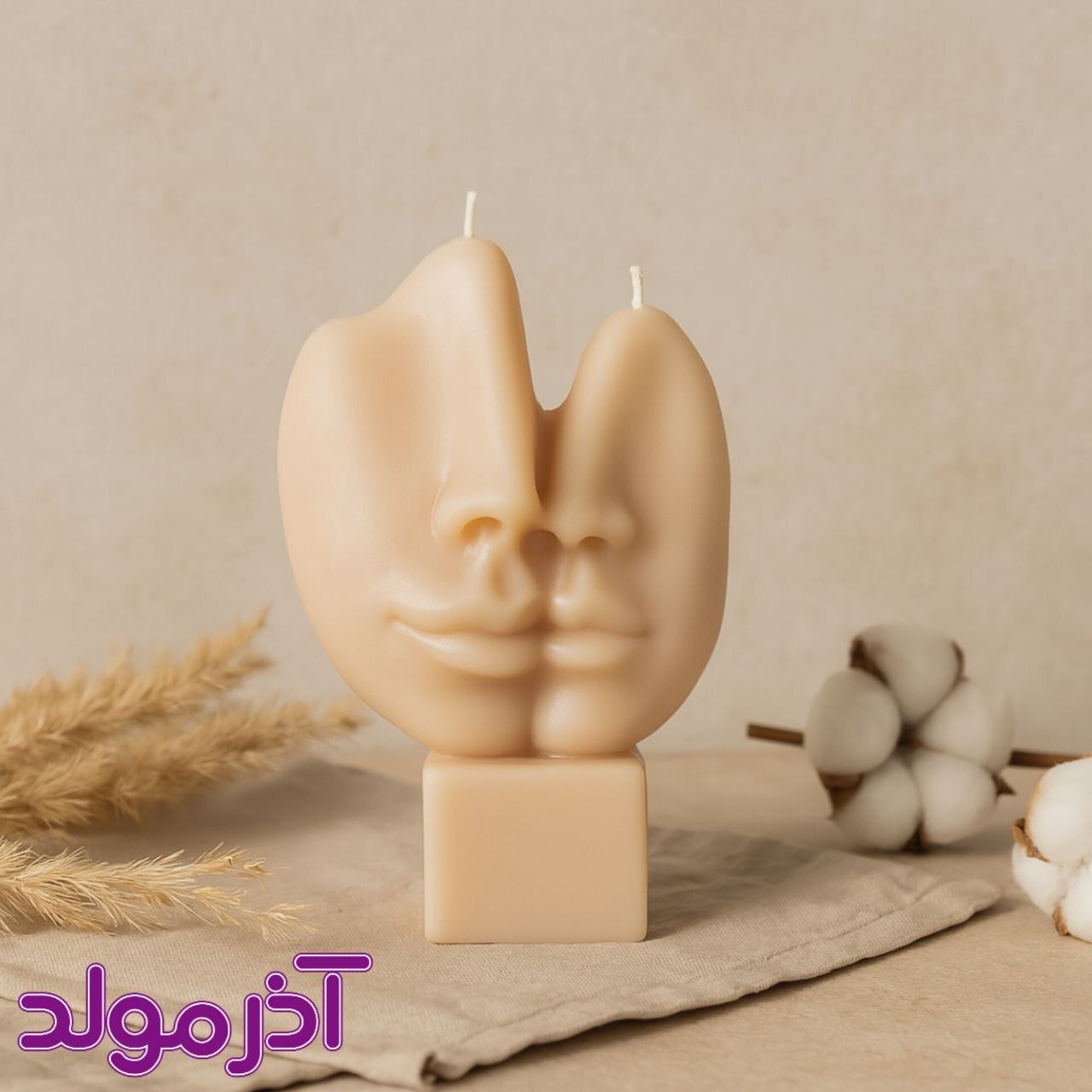  قالب سیلیکونی چهره 