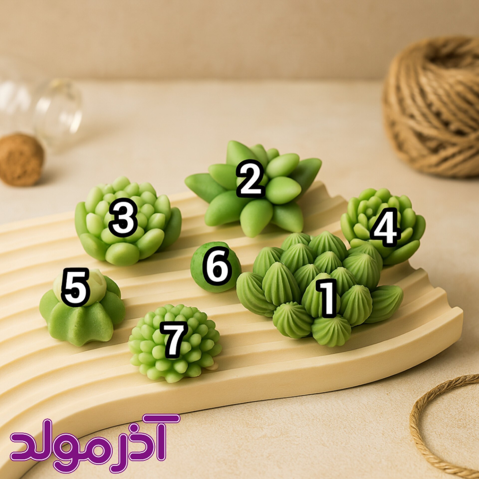  قالب سیلیکونی ست کاکتوس ریز 