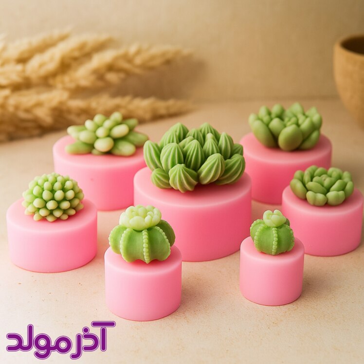 قالب سیلیکونی ست کاکتوس ریز