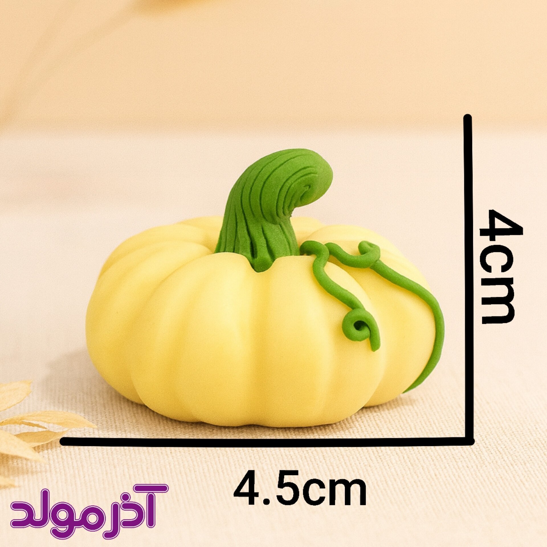  قالب سیلیکونی کدو کوچک 