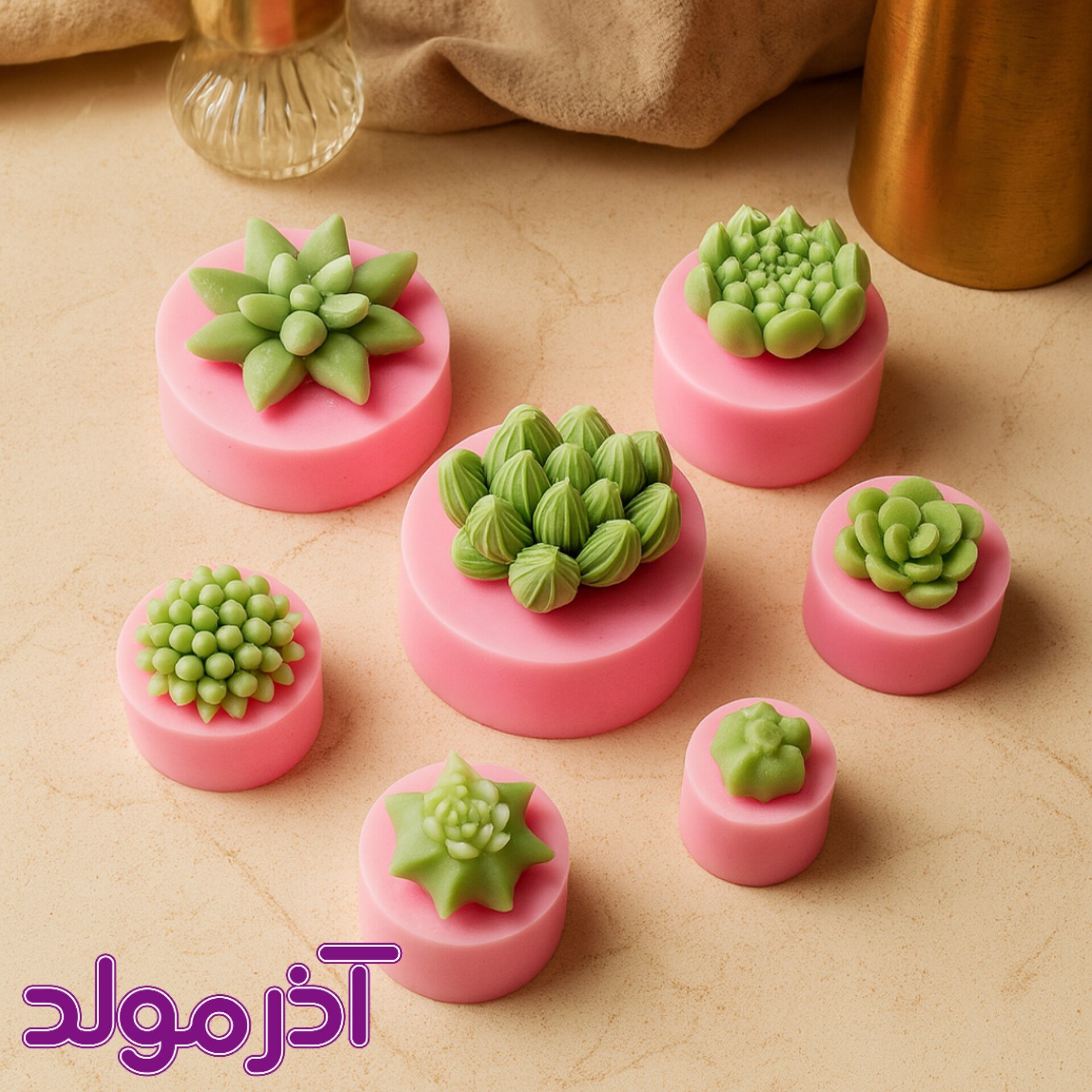  قالب سیلیکونی ست کاکتوس ریز 