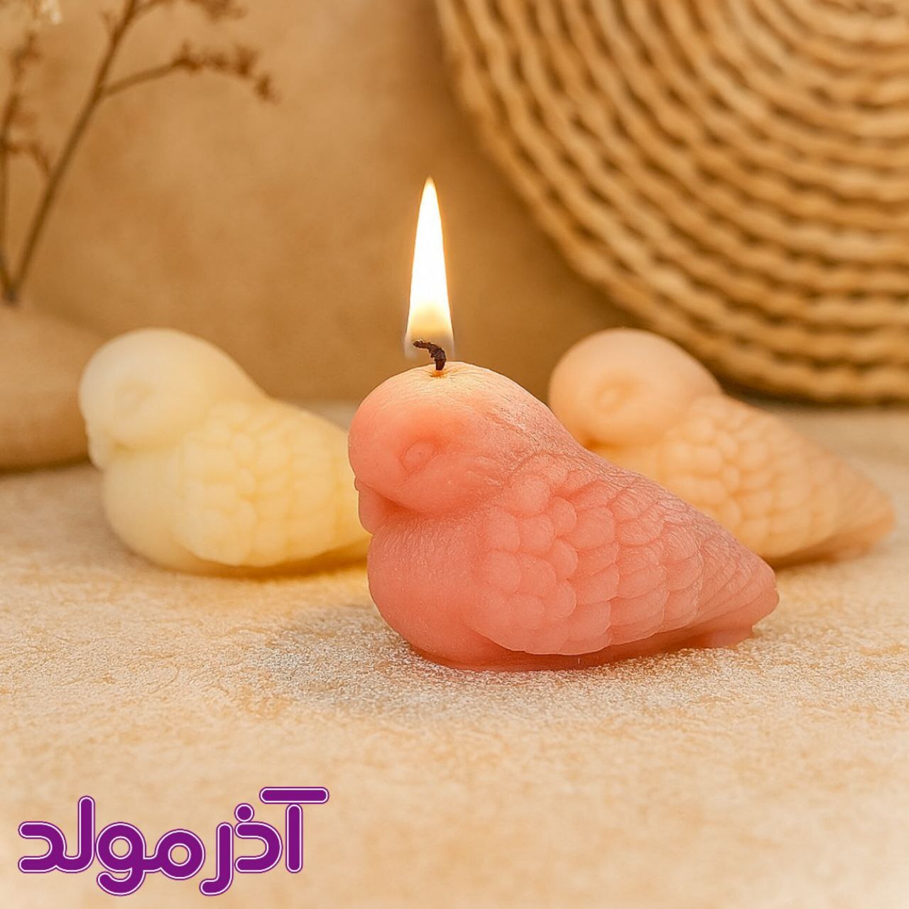 قالب سیلیکونی کبوتر