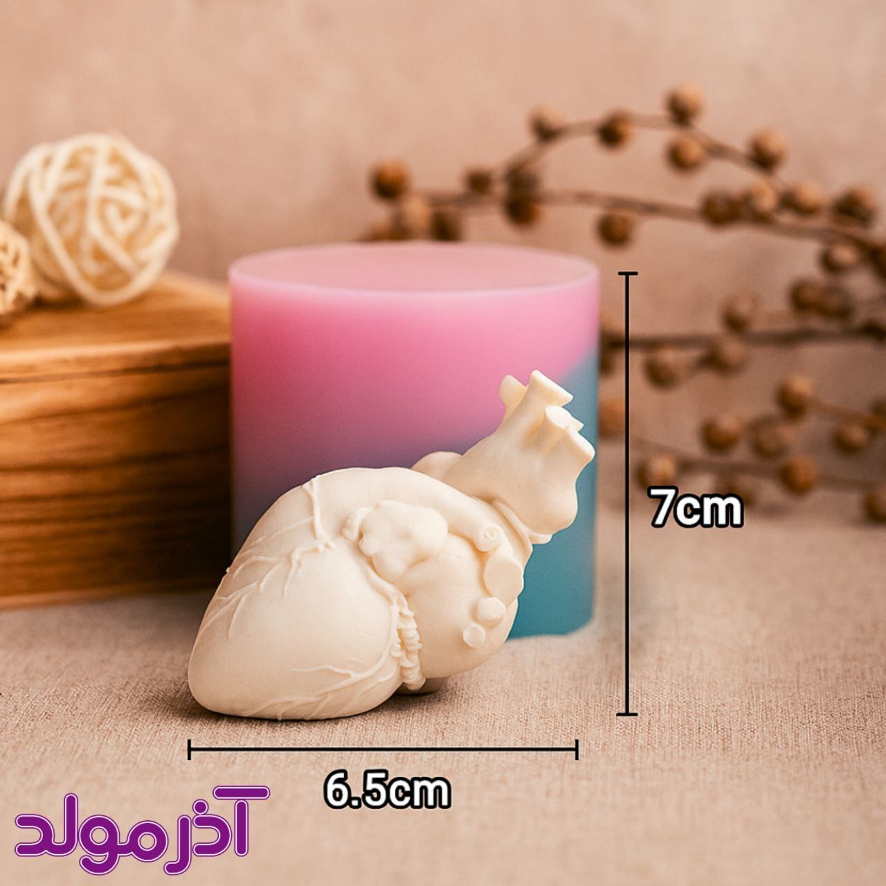 قالب سیلیکونی آناتومی قلب